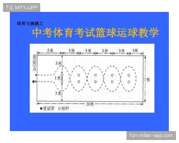 篮球运球规则详解，如何界定合法与违例行为